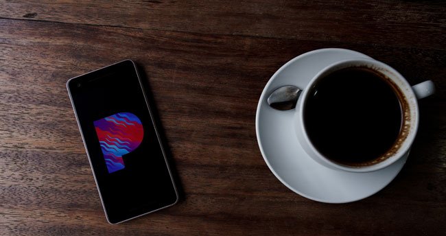 PhoneGap App Development Services